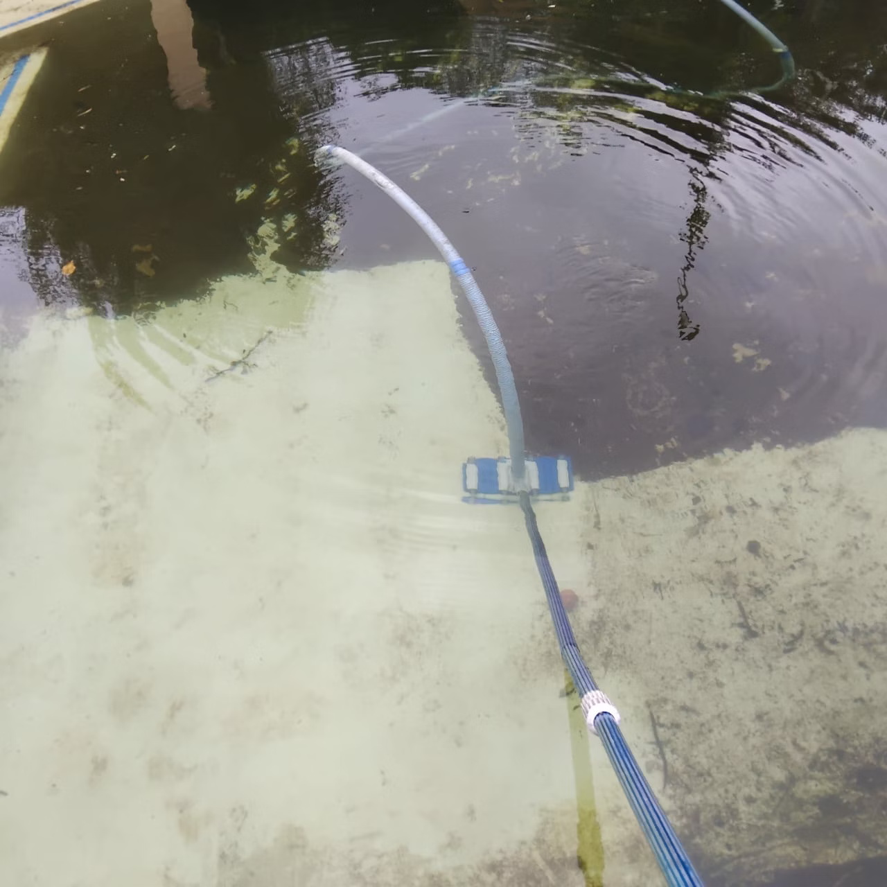 Pool Vacumming