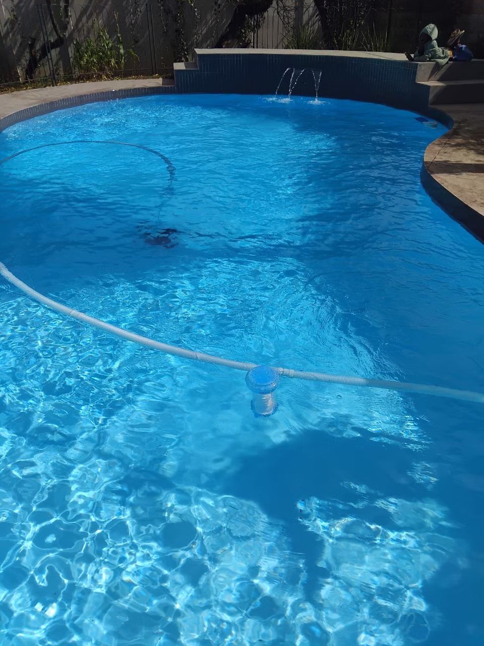 Pool Maintenance