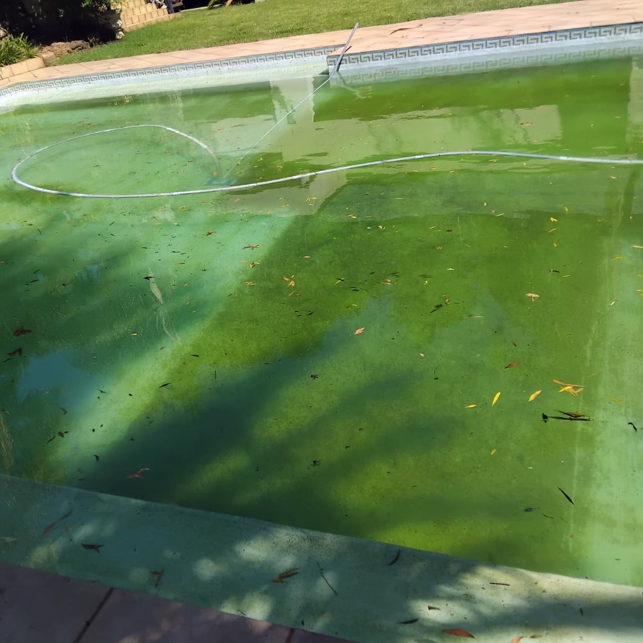 Pool Vacuuming Green To Blue